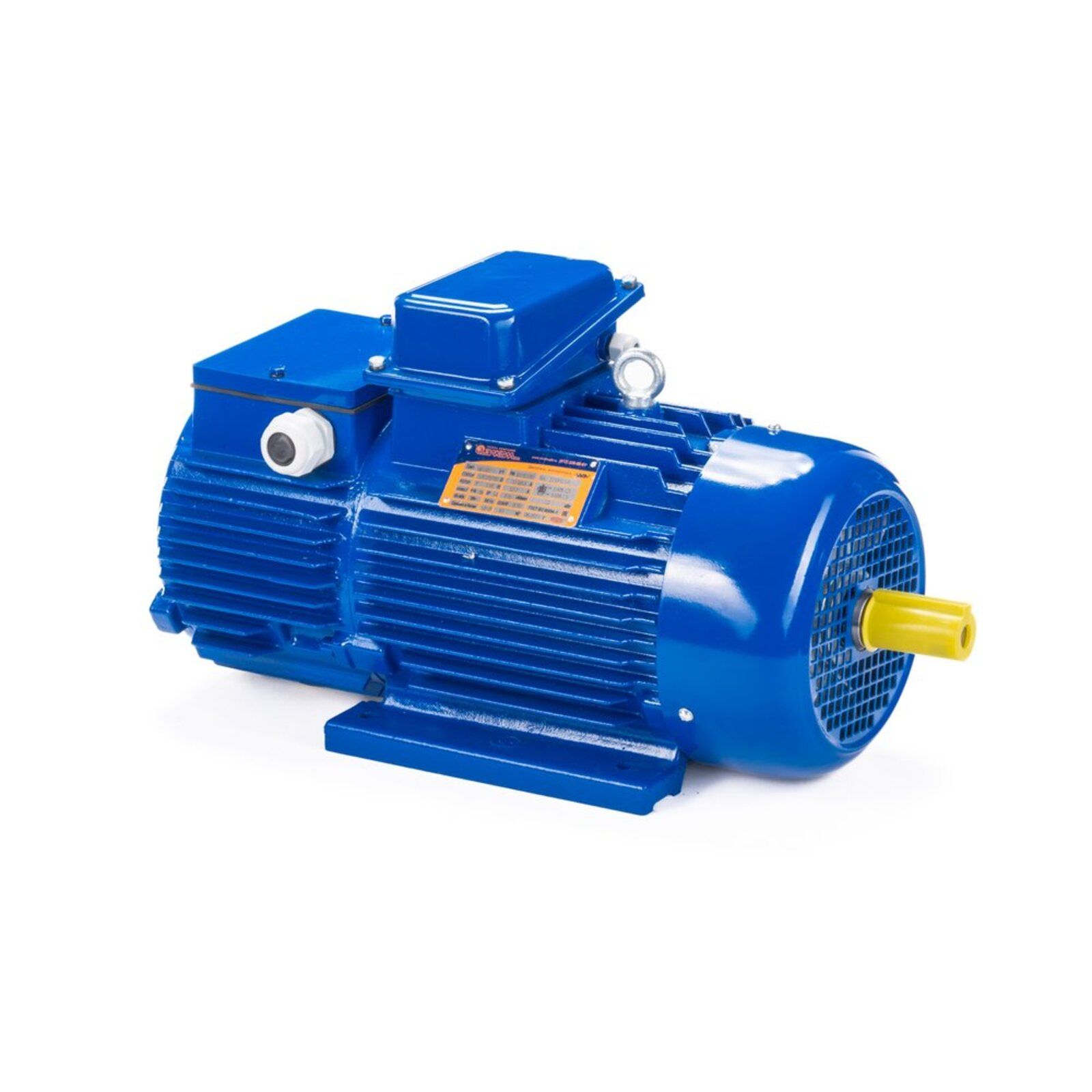Электродвигатель 5МТН 225 L8 37/750 IM1004