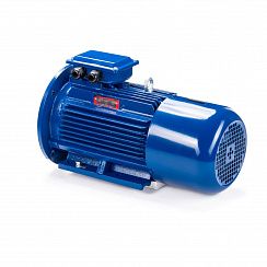 Электродвигатель 5АИ 100 L4 ED 4/1500 IM2081