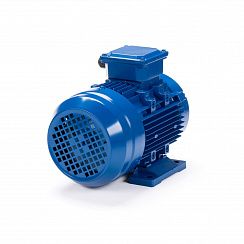 Электродвигатель ESQ 80 B6-SDN- 0,55/1000 IMB34
