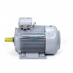 Электродвигатель ESQ PR 180 M2-SDN-Б1-S12-IE2 22/3000 IMB3