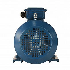 Электродвигатель 5АИ 100 L2 ET 5,5/3000 IM1081
