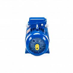 Электродвигатель 5MTH 400 М10 132/600 IM1004