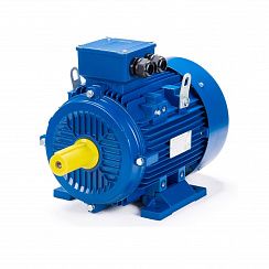 Эл.двигатель ESQ 112 M2-GST-HT-H 7.6/3000  IM 1081