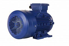 Электродвигатель 5АИ 100 L4 ED 4/1500 IM1081