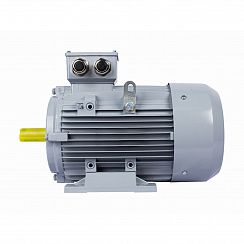 Электродвигатель ESQ PR 160 MB2-SDN-Б1-S12-IE2 15/3000 IMB3