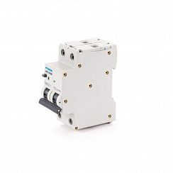 Дифавтомат HRO63B 2PG4C0000C G 2P 16A 10кА 30мА