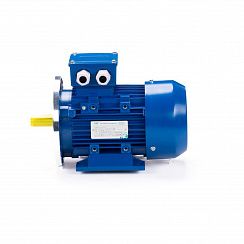 Электродвигатель ESQ 80 A2-SDN- 0,75/3000 IMB35