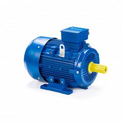 Электродвигатель ESQ 180 M2-SDN- 22/3000 IMB3