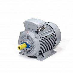 Электродвигатель ESQ PR 180 M2-SDN-Б1-S12-IE2 22/3000 IMB3