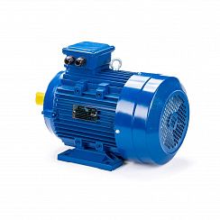 Электродвигатель ESQ 160 MA8-SDN- 4/750 IMB34