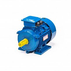 Электродвигатель 5АИ 100 L2 5,5/3000 IM1081
