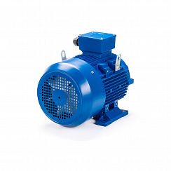 Электродвигатель ESQ 180 M2-SDN- 22/3000 IMB3