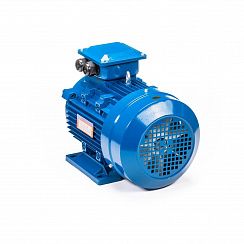 Электродвигатель 5АИ 100 S2 4/3000 IM1081