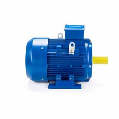 Электродвигатель ESQ 160 MB2-SDN- 15/3000 IMB3