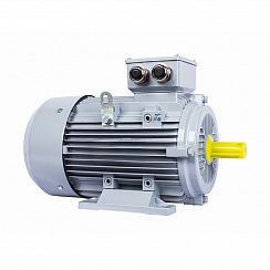 Электродвигатель ESQ PR 160 MB2-SDN-Б1-S12-IE2 15/3000 IMB3