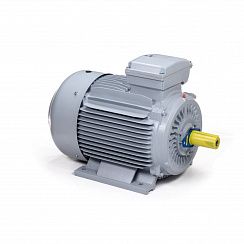 Электродвигатель ESQ PR 180 M2-SDN-Б1-S12-IE2 22/3000 IMB3