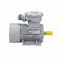 Электродвигатель АИМУР 112 МB6 У2,5 380/660В, класс изоляции F, PBExdI Mb, 4/1000 IM1081