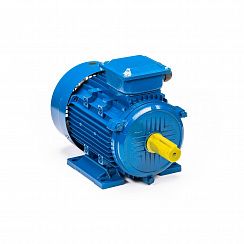 Электродвигатель 5АИ 112 МВ6 4/1000 IM1081
