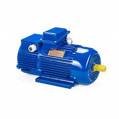 Электродвигатель 5МТН 225 L8 37/750 IM1004