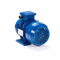 Электродвигатель ESQ 80 B6-SDN- 0,55/1000 IMB34