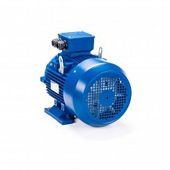 Электродвигатель ESQ 180 M2-SDN- 22/3000 IMB3