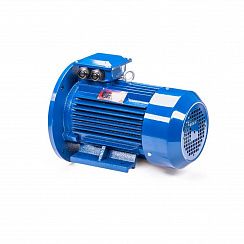 Электродвигатель 5АИ 112 М4 5,5/1500 IM2081