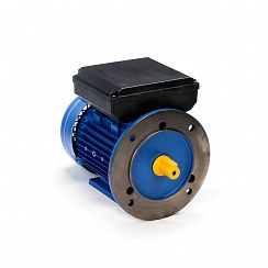 Электродвигатель 5АИЕ2 71 A2 0,55/3000 IM2081