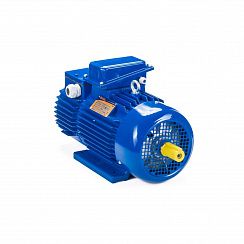 Электродвигатель 5MTH 400 S10 110/600 IM1003
