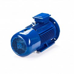 Электродвигатель 5АИ 100 L4 ED 4/1500 IM2081