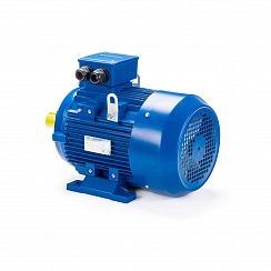 Электродвигатель ESQ 160 MB2-SDN- 15/3000 IMB3