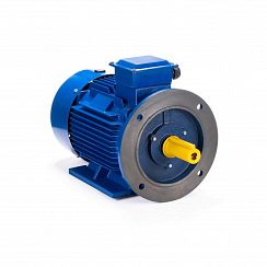 Электродвигатель ESQ 112 N4-SDN- 5,5/1500 IMB35