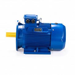 Электродвигатель ESQ 112 MB6-SDN- 3/1000 IMB35