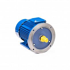 Эл.двигатель 5АИ 100 L8 ED 1.5/750  IM 2081