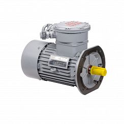 Электродвигатель АИМУР 180 М4 У2,5 380/660В, класс изоляции F, PBExdI Mb, МК1-145 (статор), подшипники SKF, 30/1500 IM4081