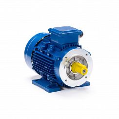 Электродвигатель ESQ 80 B6-SDN- 0,55/1000 IMB34
