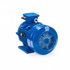 Электродвигатель ESQ 160 MA8-SDN- 4/750 IMB34