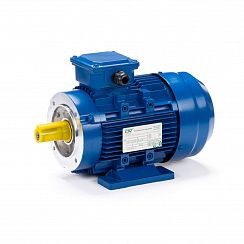 Электродвигатель ESQ 80 B6-SDN- 0,55/1000 IMB34
