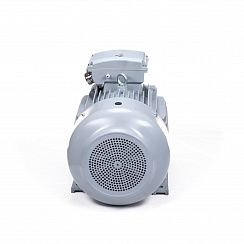 Электродвигатель ESQ PR 180 M2-SDN-Б1-S12-IE2 22/3000 IMB3