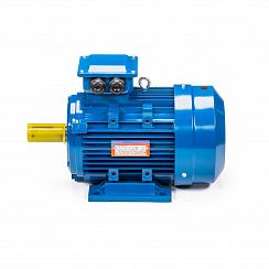 Электродвигатель 5АИ 112 М2 7,6/3000 IM1081