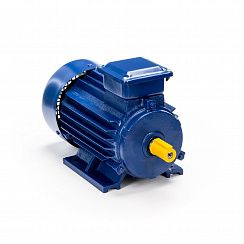 Электродвигатель 5АИ 63 В2 0,55/3000 IM1081
