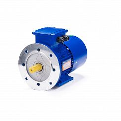 Электродвигатель 5АИ 80 А6 ET2 0,75/1000 IM2081