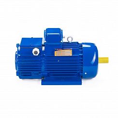 Эл.двигатель 5МТН 312-8 11/750  IM 1001
