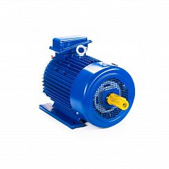 Электродвигатель 5МТКН 311-6 11/1000 IM1001