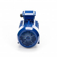 Электродвигатель 5АИ 90 L2 3/3000 IM1081