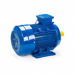 Электродвигатель ESQ 160 MA8-SDN- 4/750 IMB34