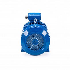 Электродвигатель ESQ 100 LС4-SDN- 4/1500 IMB34