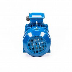 Электродвигатель 5АИ 112 МВ6 4/1000 IM1081