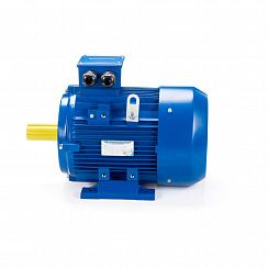 Электродвигатель ESQ 180 M2-SDN- 22/3000 IMB3