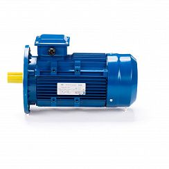 Электродвигатель ESQ 56 B4-SDN- 0,09/1500 IMB5