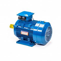 Электродвигатель 5АИ 100 L2 5,5/3000 IM1081